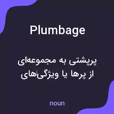معنی plumbage به فارسی معنی plumbage به فارسی