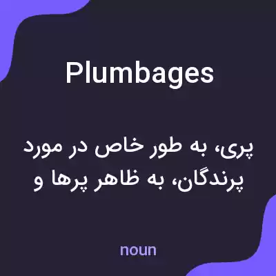 معنی plumbages به فارسی معنی plumbages به فارسی
