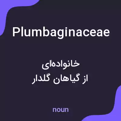 معنی plumbaginaceae به فارسی معنی plumbaginaceae به فارسی