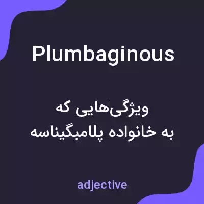معنی plumbaginous به فارسی معنی plumbaginous به فارسی