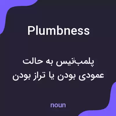 معنی plumbness به فارسی معنی plumbness به فارسی