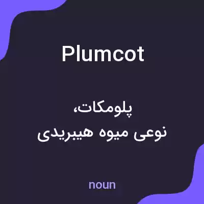 معنی plumcot به فارسی معنی plumcot به فارسی