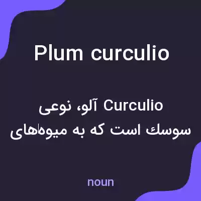 معنی plum curculio به فارسی معنی plum curculio به فارسی