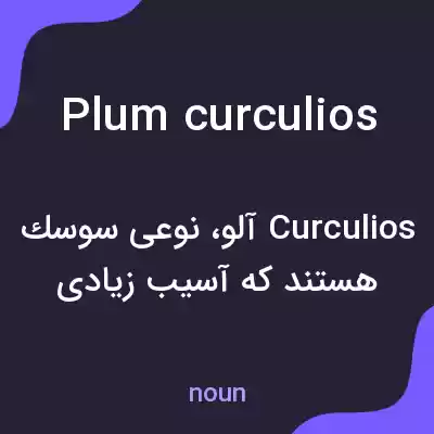 معنی plum curculios به فارسی معنی plum curculios به فارسی