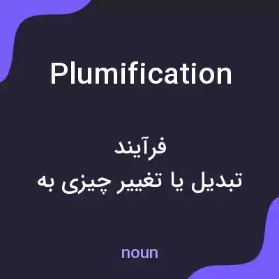 معنی plumification به فارسی معنی plumification به فارسی