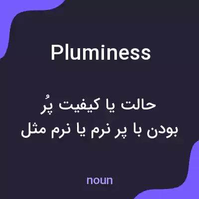 معنی pluminess به فارسی معنی pluminess به فارسی