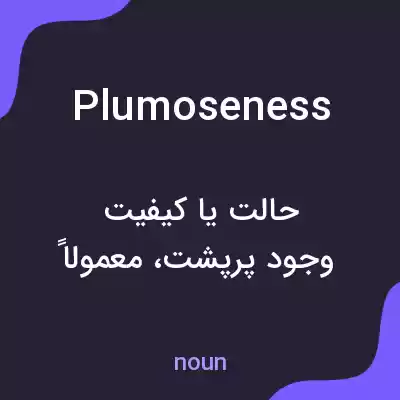معنی plumoseness به فارسی معنی plumoseness به فارسی