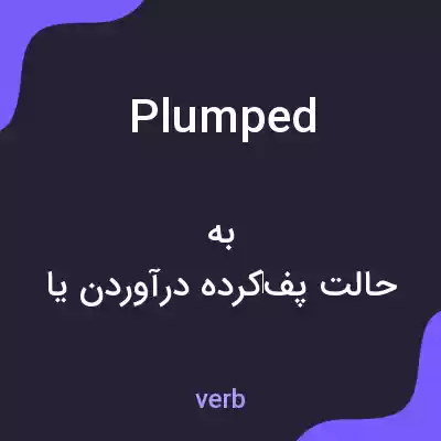 معنی plumped به فارسی معنی plumped به فارسی