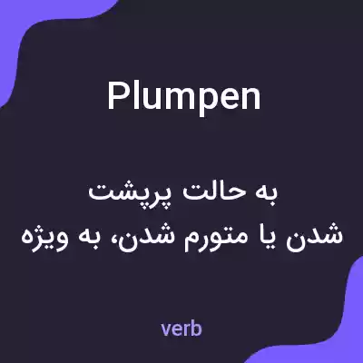 معنی plumpen به فارسی معنی plumpen به فارسی