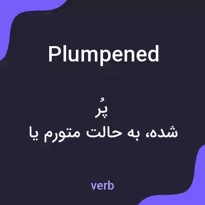 معنی plumpened به فارسی معنی plumpened به فارسی