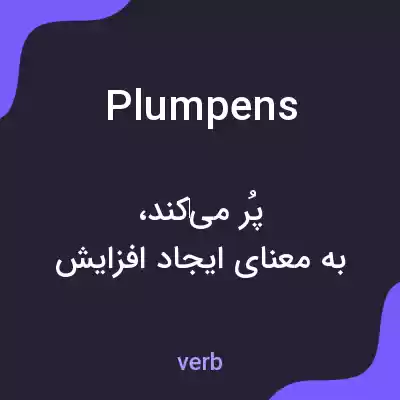 معنی plumpens به فارسی معنی plumpens به فارسی