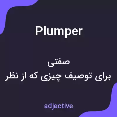 معنی plumper به فارسی معنی plumper به فارسی