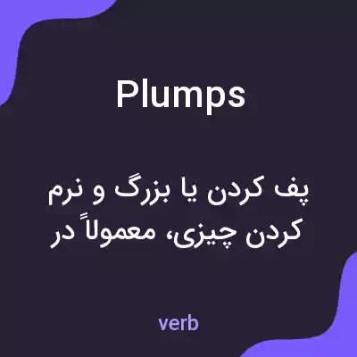 معنی plumps به فارسی معنی plumps به فارسی
