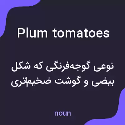 معنی plum tomatoes به فارسی
