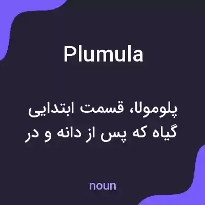 معنی plumula به فارسی معنی plumula به فارسی