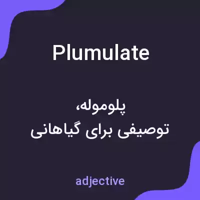 معنی plumulate به فارسی معنی plumulate به فارسی