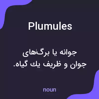 معنی plumules به فارسی معنی plumules به فارسی