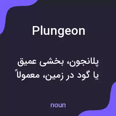 معنی plungeon به فارسی معنی plungeon به فارسی