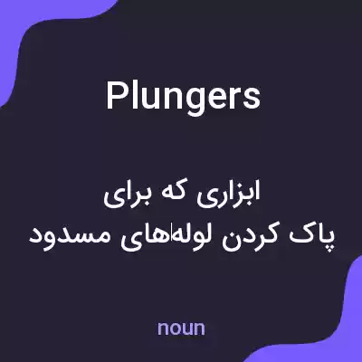معنی plungers به فارسی معنی plungers به فارسی