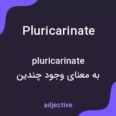 معنی pluricarinate به فارسی معنی pluricarinate به فارسی