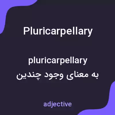 معنی pluricarpellary به فارسی معنی pluricarpellary به فارسی