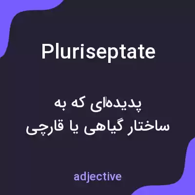 معنی pluriseptate به فارسی معنی pluriseptate به فارسی