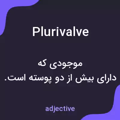 معنی plurivalve به فارسی معنی plurivalve به فارسی