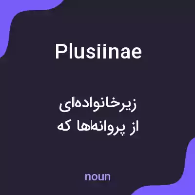 معنی plusiinae به فارسی معنی plusiinae به فارسی