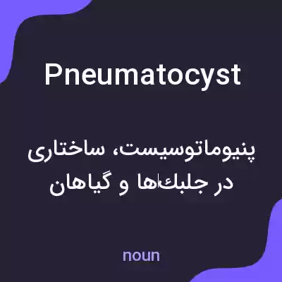 معنی pneumatocyst به فارسی معنی pneumatocyst به فارسی