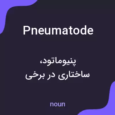 معنی pneumatode به فارسی معنی pneumatode به فارسی