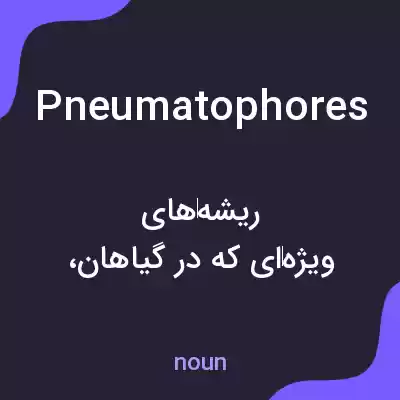 معنی pneumatophores به فارسی معنی pneumatophores به فارسی