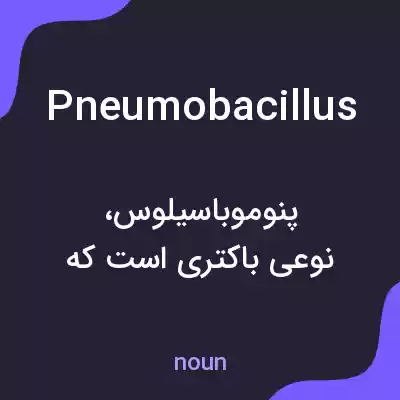 معنی pneumobacillus به فارسی معنی pneumobacillus به فارسی