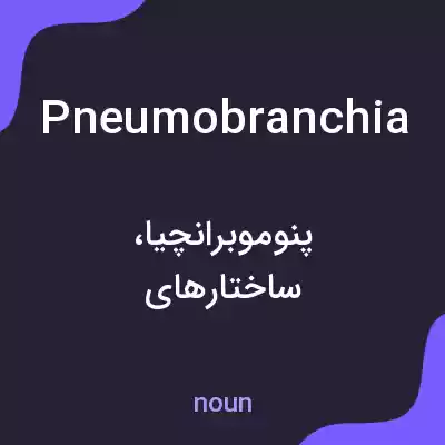 معنی pneumobranchia به فارسی معنی pneumobranchia به فارسی