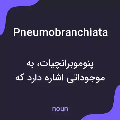 معنی pneumobranchiata به فارسی معنی pneumobranchiata به فارسی