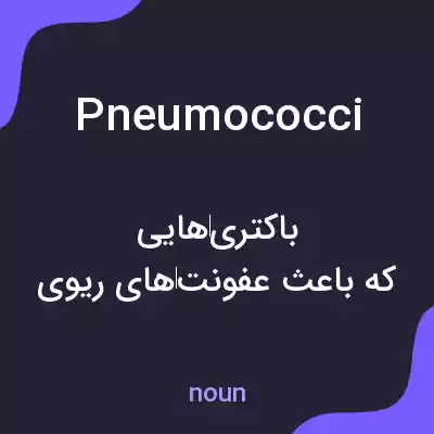 معنی pneumococci به فارسی معنی pneumococci به فارسی