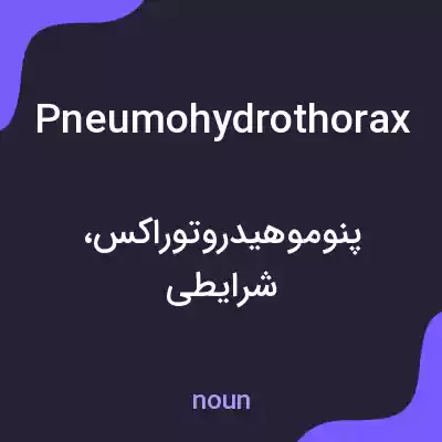 معنی pneumohydrothorax به فارسی معنی pneumohydrothorax به فارسی