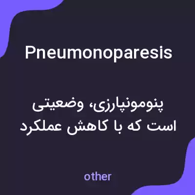 معنی pneumonoparesis به فارسی معنی pneumonoparesis به فارسی