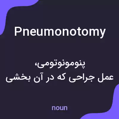 معنی pneumonotomy به فارسی معنی pneumonotomy به فارسی