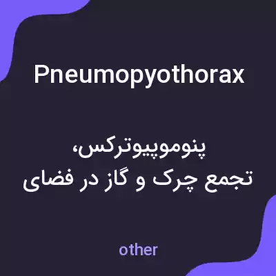 معنی pneumopyothorax به فارسی معنی pneumopyothorax به فارسی