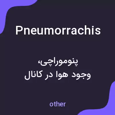 معنی pneumorrachis به فارسی معنی pneumorrachis به فارسی