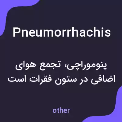 معنی pneumorrhachis به فارسی معنی pneumorrhachis به فارسی