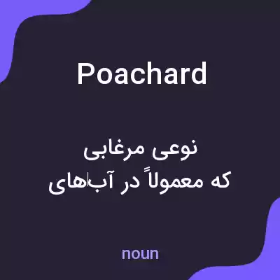 معنی poachard به فارسی معنی poachard به فارسی