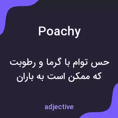 معنی poachy به فارسی معنی poachy به فارسی