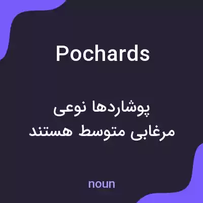 معنی pochards به فارسی معنی pochards به فارسی