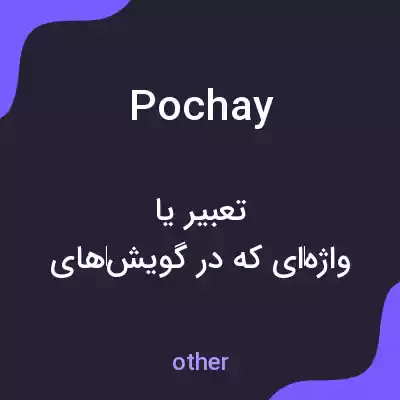 معنی pochay به فارسی معنی pochay به فارسی