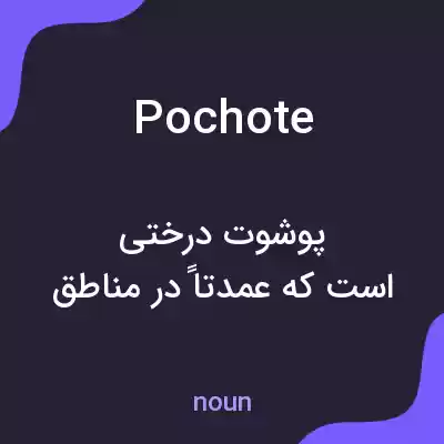 معنی pochote به فارسی معنی pochote به فارسی