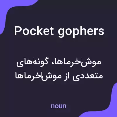 معنی pocket gophers به فارسی معنی pocket gophers به فارسی