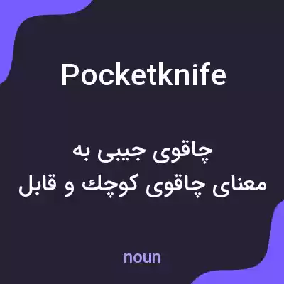 معنی pocketknife به فارسی معنی pocketknife به فارسی