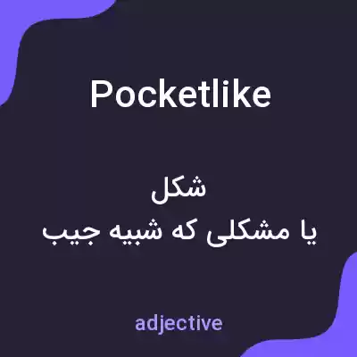 معنی pocketlike به فارسی معنی pocketlike به فارسی