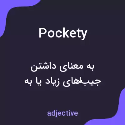 معنی pockety به فارسی معنی pockety به فارسی